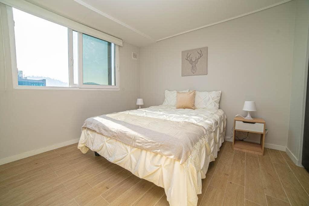 Confortable Departamento En Area Urbana Apartamento Santiago